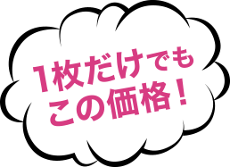 １枚だけでもこの価格！